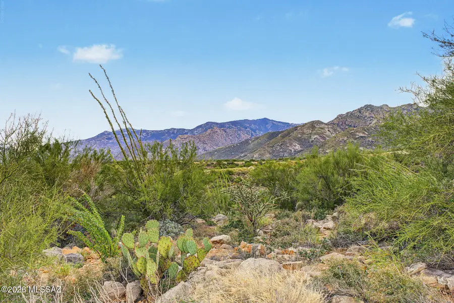 10650 N Del Sole, Oro Valley, AZ 85737 - #3