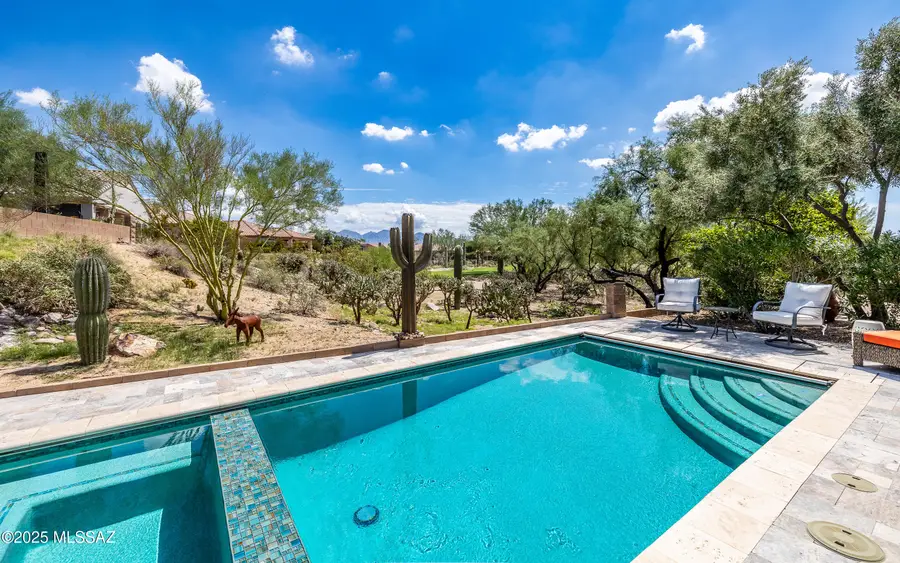 13184 N Desert Flora, Marana, AZ 85658 - #2