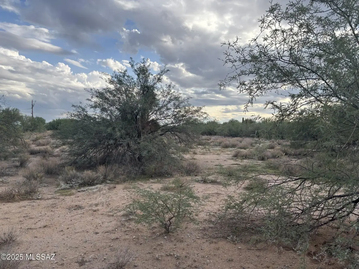 16035 W El Tiro, Marana, AZ 85653 - #1