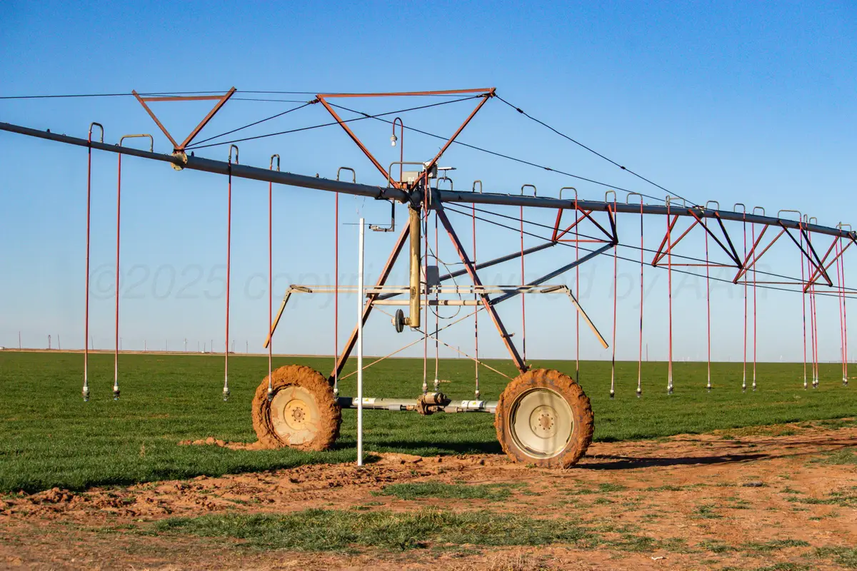 Te Velde Irrigated Farm, Dimmitt, TX 79027 - Image #1