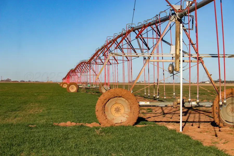 Te Velde Irrigated Farm, Dimmitt, TX 79027 - Image #3