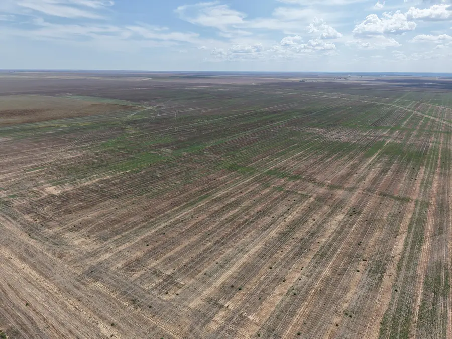 North 51 Ac. Tract 33 Pullman Road, Amarillo, TX 79118 - Image #2