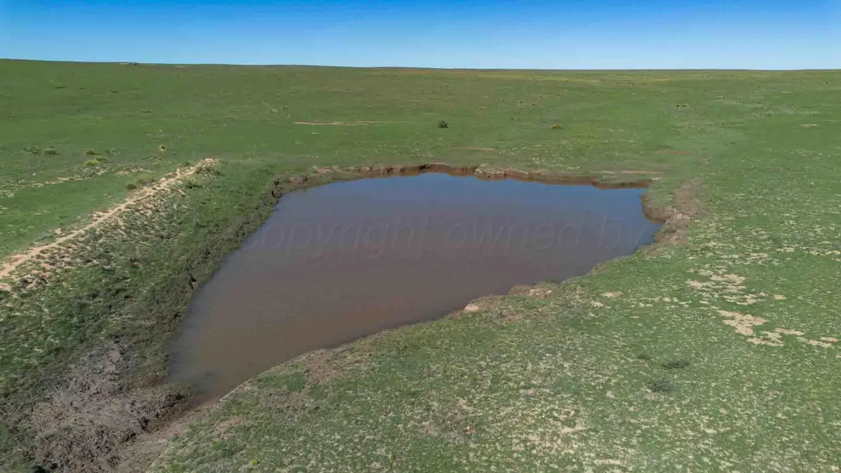 Wise Ranch 3,433.84 Acres, Logan Nara Visa, NM 88430 - #1