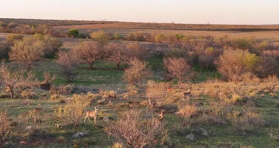 Co Rd 90, Memphis, TX 79245 - Image #2