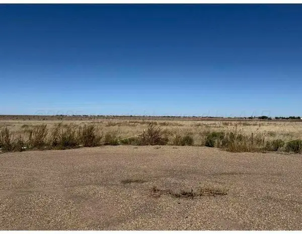 11610 W Costley Road, Amarillo, TX 79119