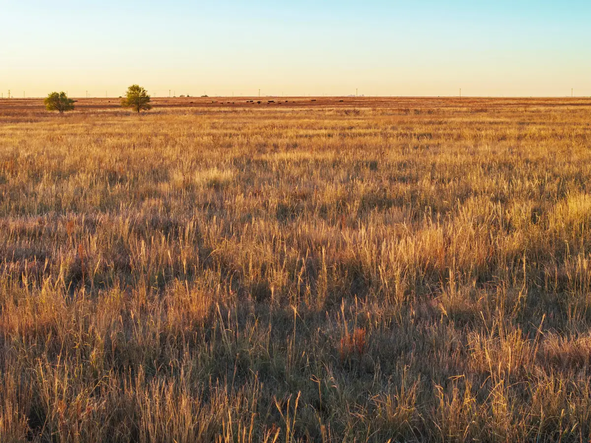 Cr 509, Hereford, TX 79045 - Image #1