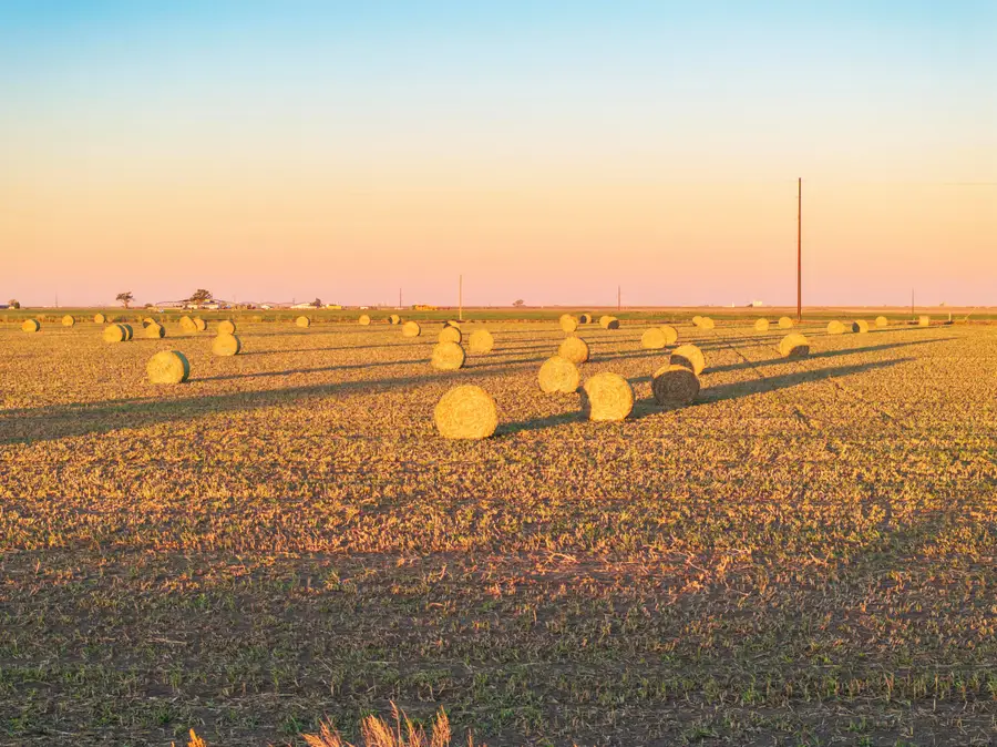Cr 509, Hereford, TX 79045 - Image #2