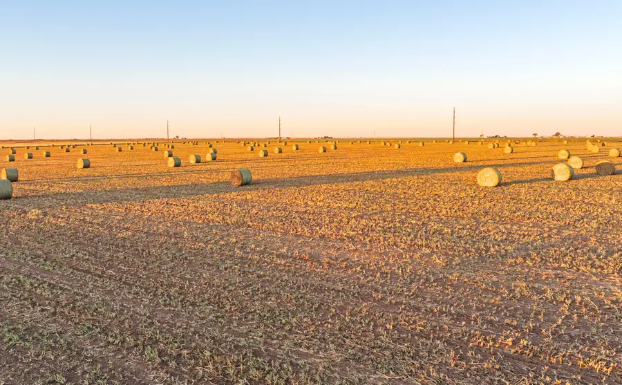 Cr 509, Hereford, TX 79045 - Image #3