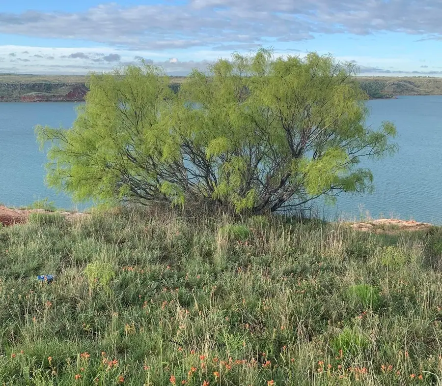 808 S Cornell Ave, Fritch, TX 79036 - #3