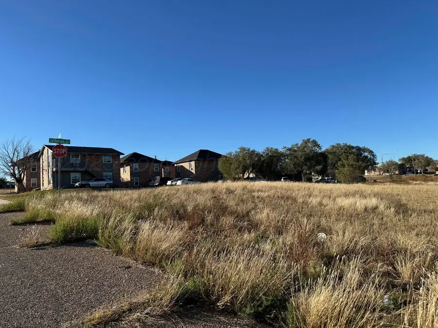 1407 N Madison Street, Amarillo, TX 79101 - #3