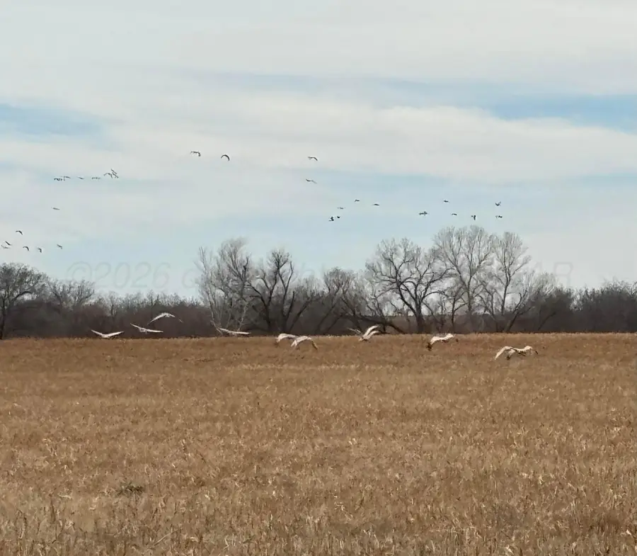 County Road 10, Childress, TX 79201 - #2