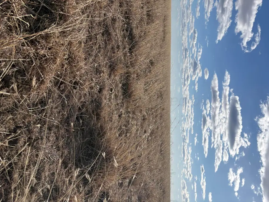 000 Morton Elevator Road, Dumas, TX 79029 - #3