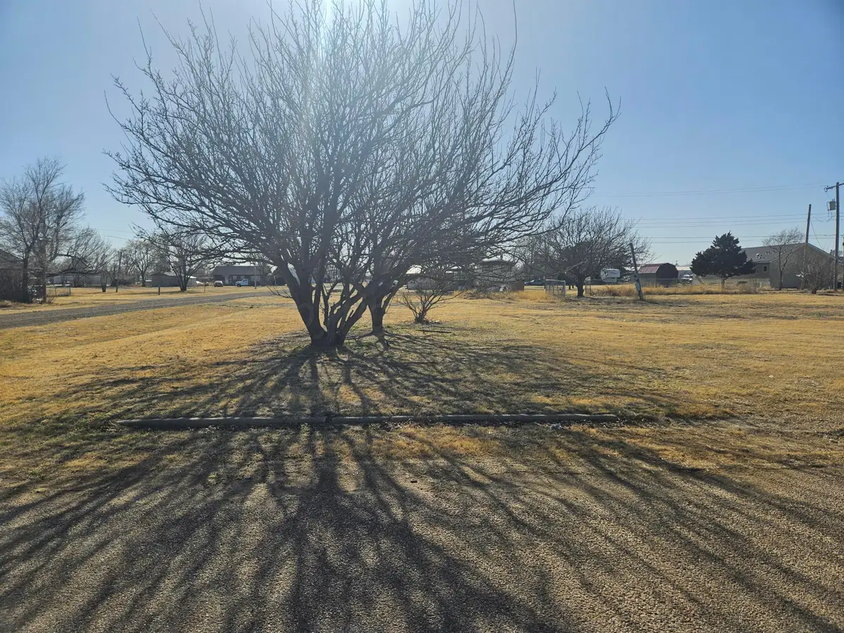 401 Hazel Avenue, Panhandle, TX 79068-1891 - #1