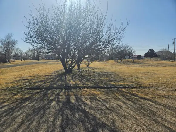 401 Hazel Avenue, Panhandle, TX 79068-1891