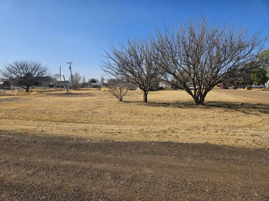 401 Hazel Avenue, Panhandle, TX 79068-1891 - #3
