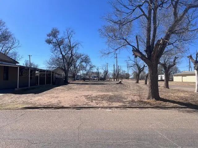 502 Olive Avenue, Dalhart, TX 79022 - #1