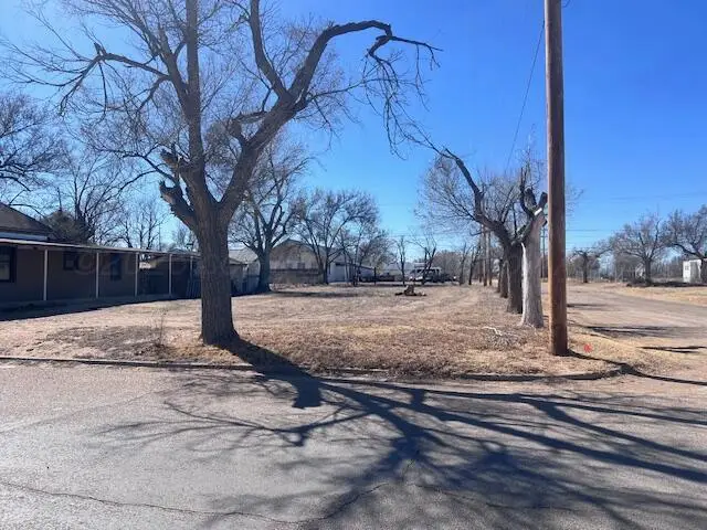 502 Olive Avenue, Dalhart, TX 79022 - #3