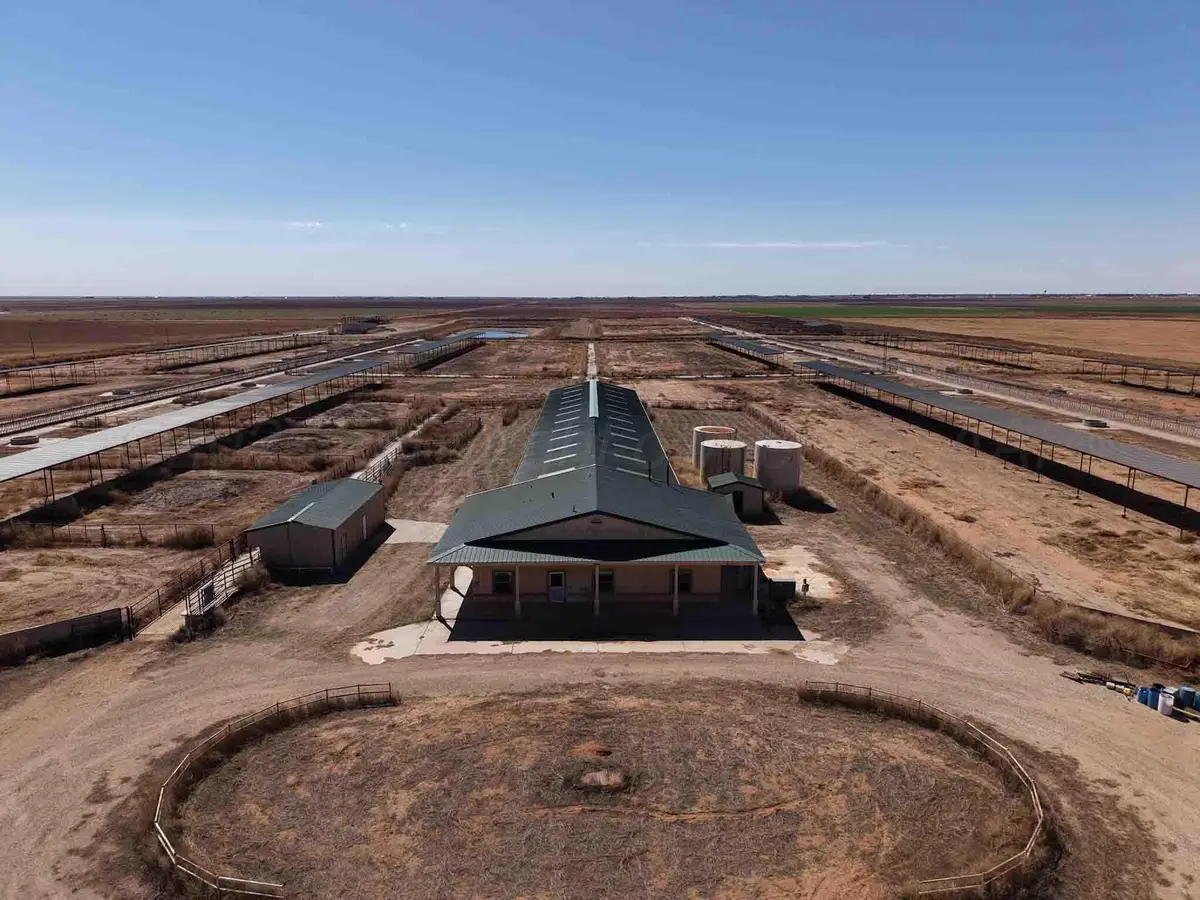 Cal Star Dairy, Brownfield, TX 79316 - #1