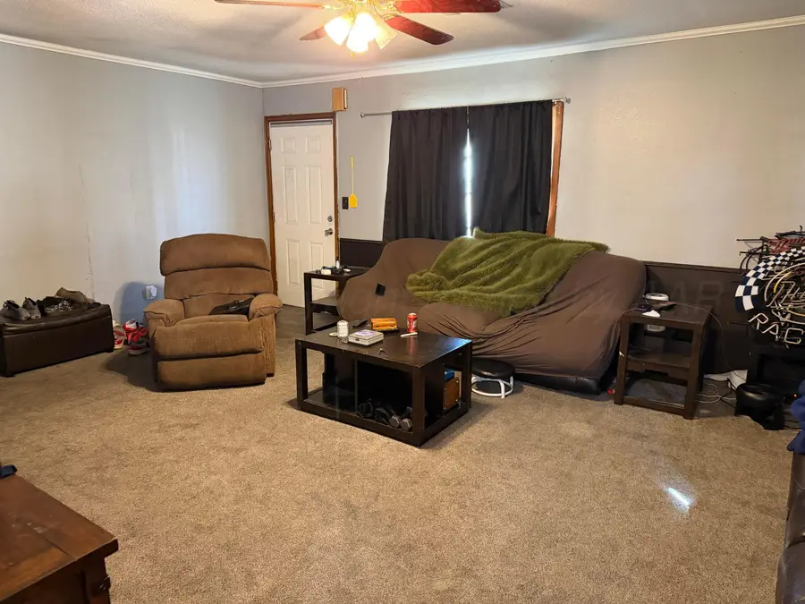 215 Hickory Street, Borger, TX 79007 - #3