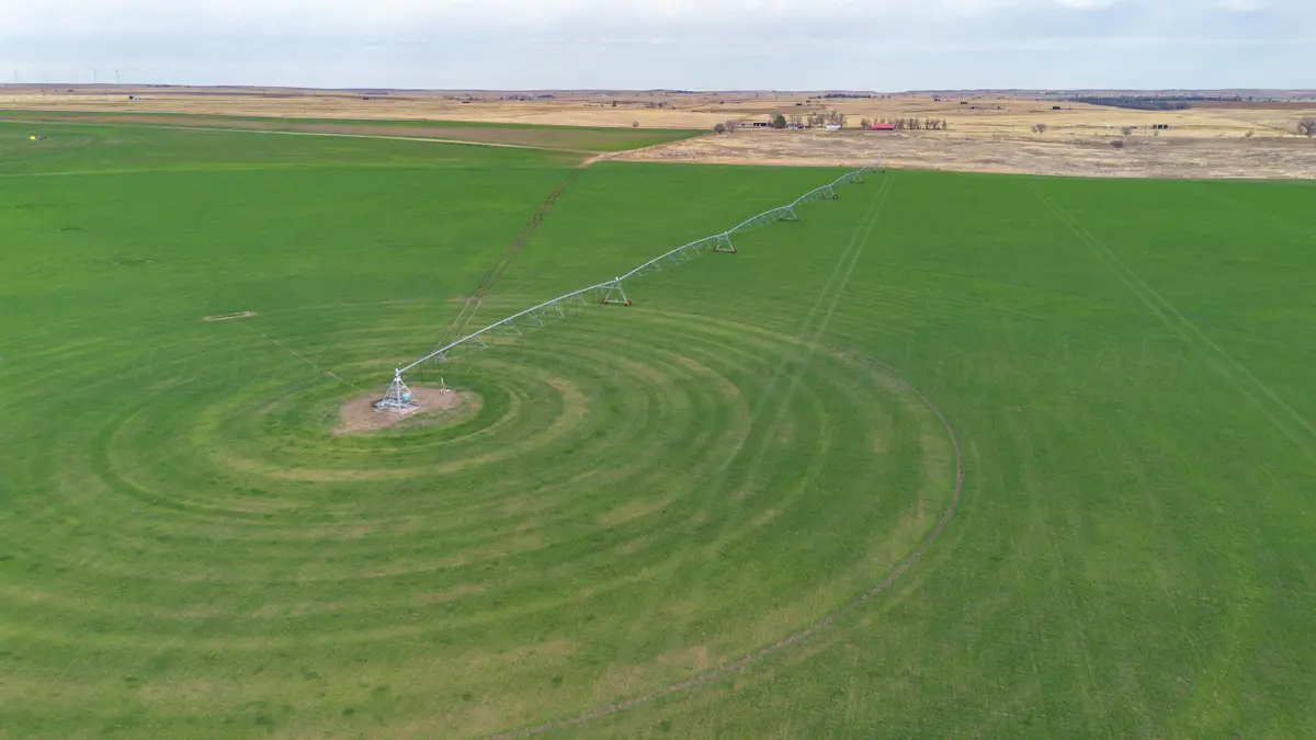 Dodd Farm 651.6ac Nw Briscoe, Mobeetie, TX 79061 - #1