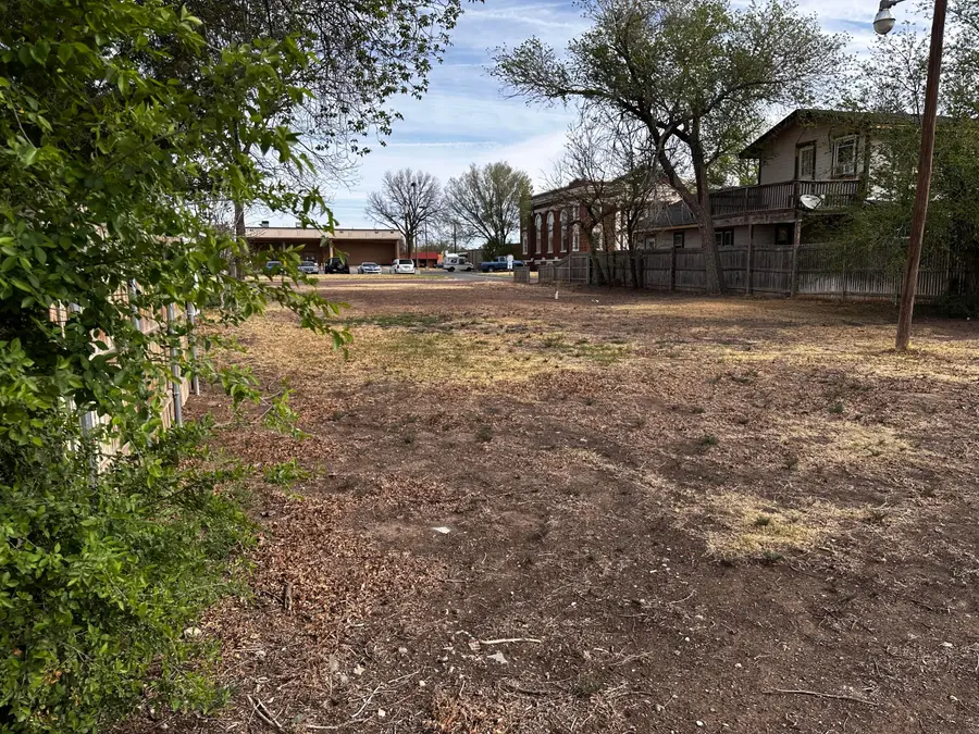 1308 1308 5th Ave Avenue, Canyon, TX 79015 - #3