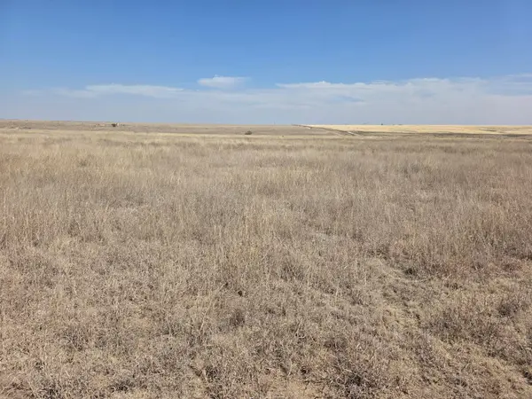 Sect 573 Blk 43, Perryton, TX 79070-6770