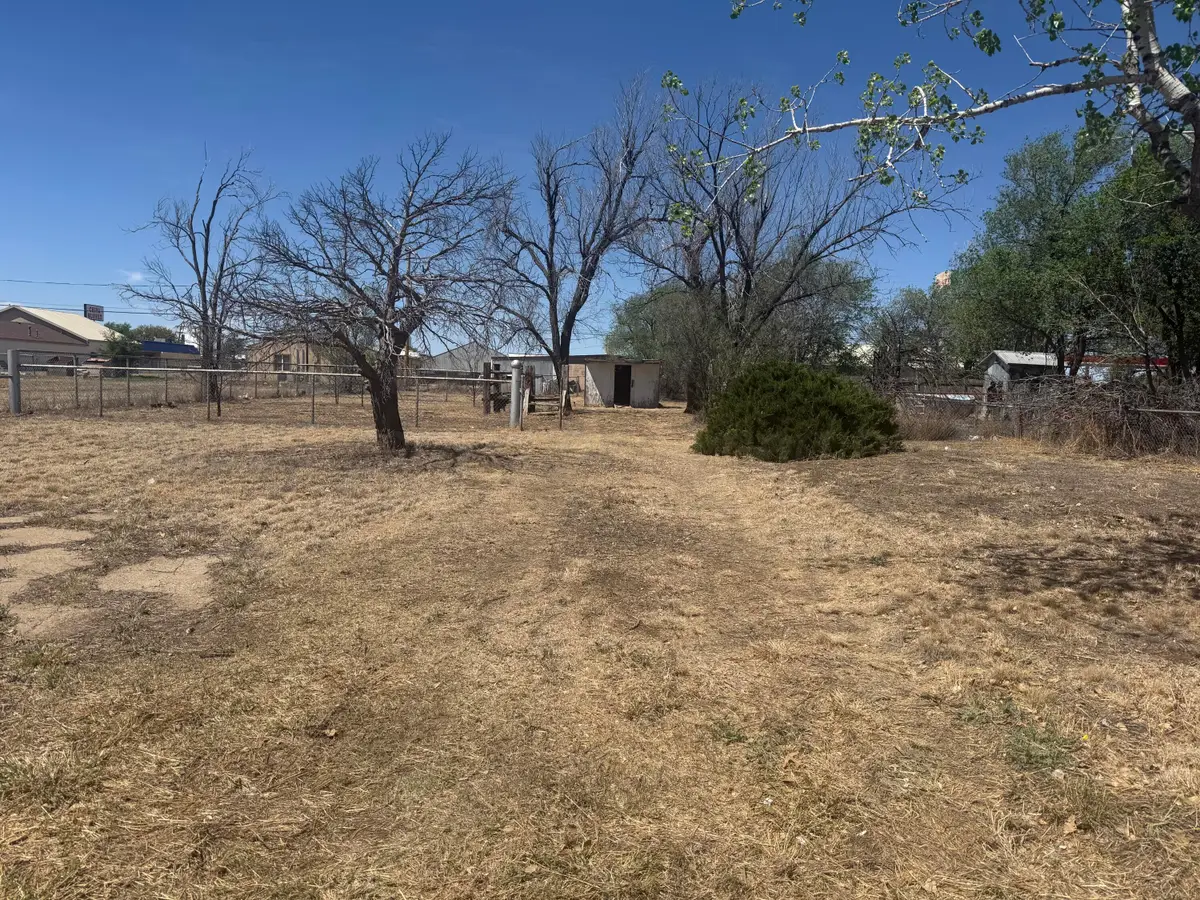 201 N Bliss Avenue, Dumas, TX 79029-2706 - #1
