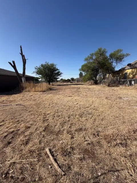 1429 NW 11th Avenue, Amarillo, TX 79107-1712 - #2