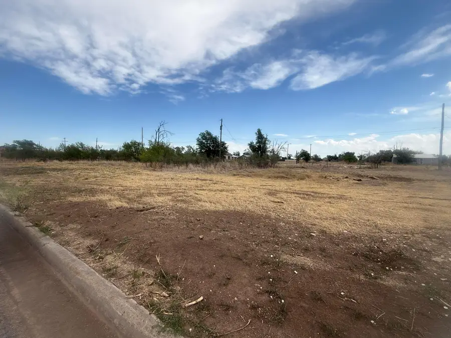 525 W Maple Avenue, Pampa, TX 79065-7825 - #3