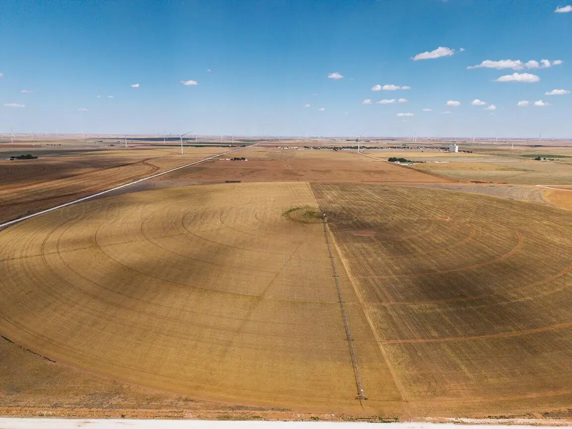 695 County Road 24, Friona, TX 79035 - #1