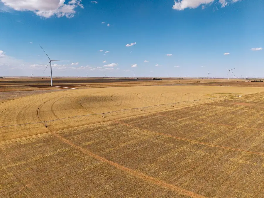 695 County Road 24, Friona, TX 79035 - #2