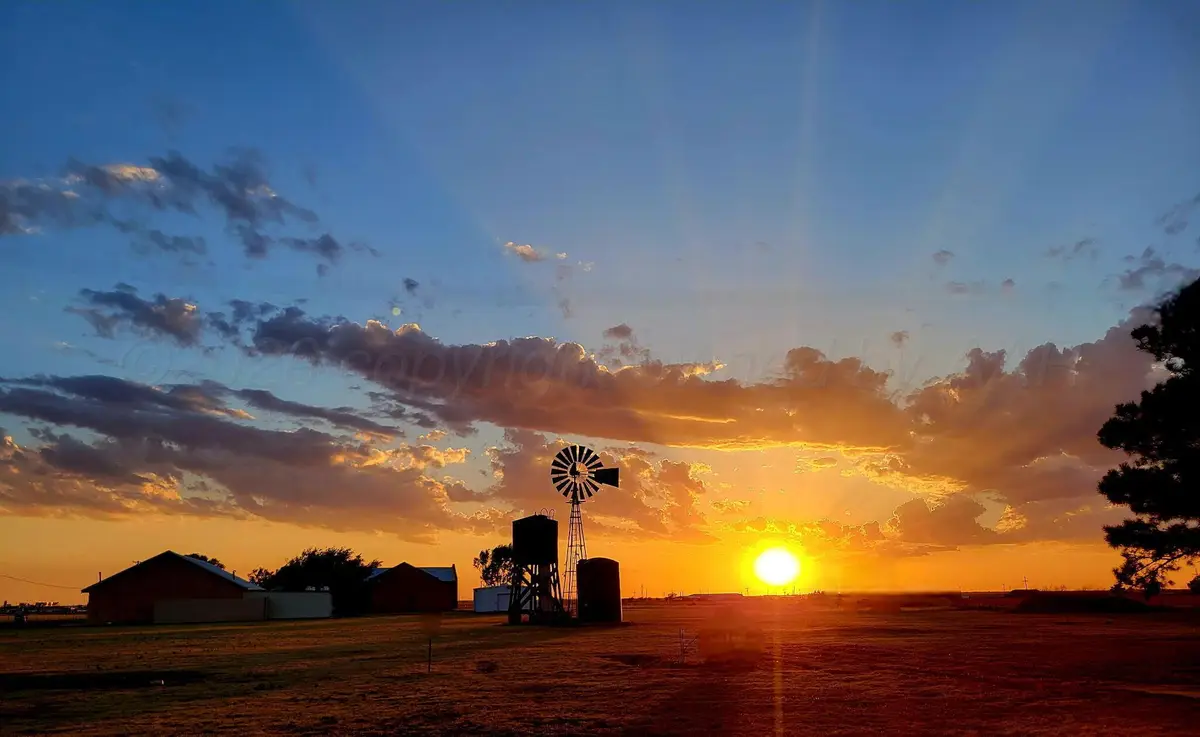 5003 Klinke Road, Amarillo, TX 79108 - #1