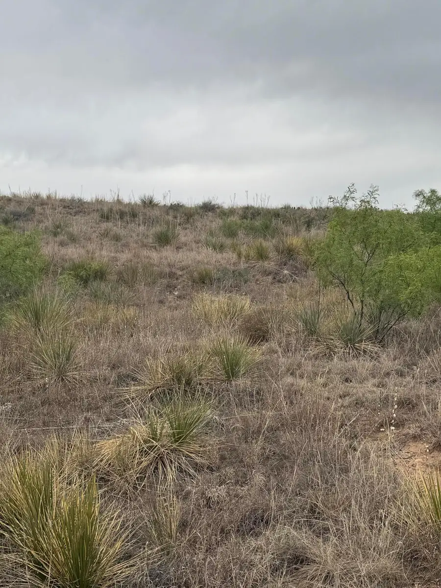 0 Cimaron Drive, Fritch, TX 79036 - #2