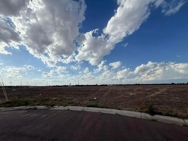 1101 Vortech Street, Amarillo, TX 79118 - #1