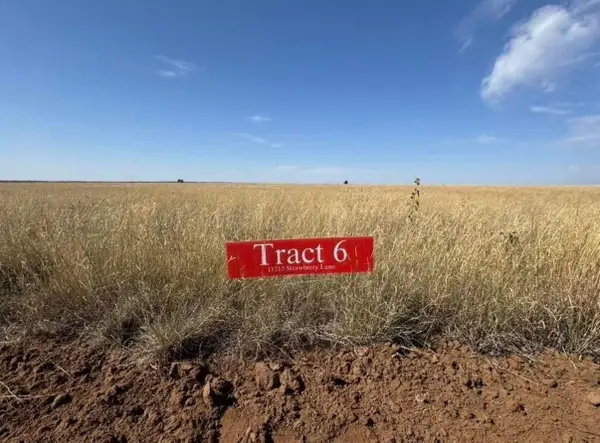 11215 Strawberry Lane, Hartley, TX 79044
