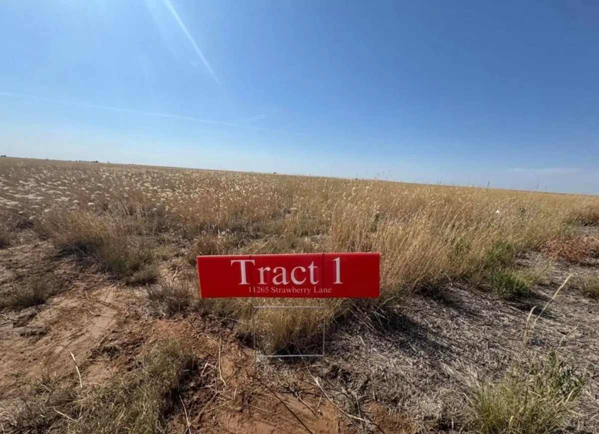 11265 Strawberry Lane, Hartley, TX 79044 - #1