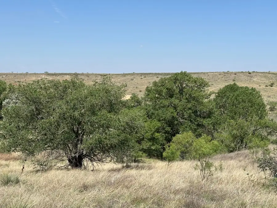 0 Lost Canyon Drive, Amarillo, TX 79124 - #3