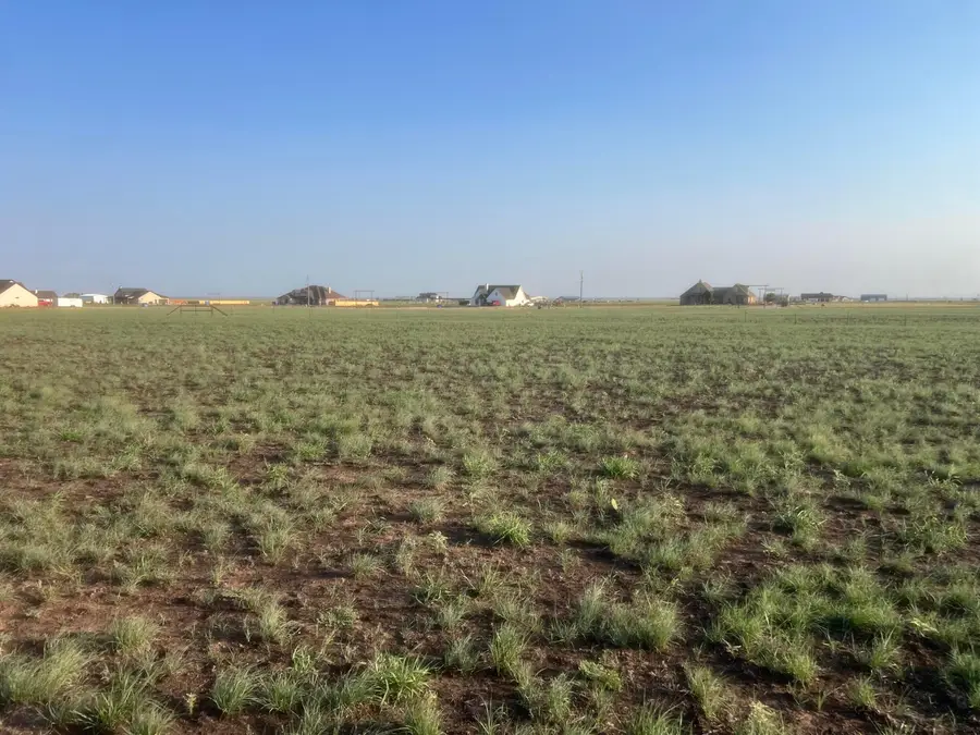 27000 Buddy Lane, Canyon, TX 79015 - #3