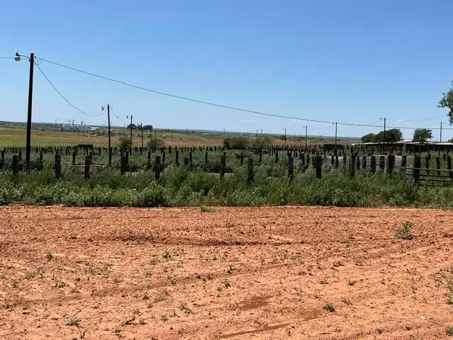 72.8 acres Hwy 256, Memphis, TX 79245 - #3