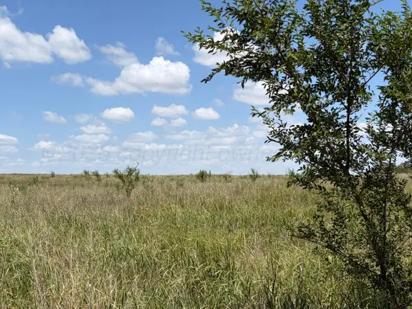TBD State Highway 203, Wellington, TX 79095