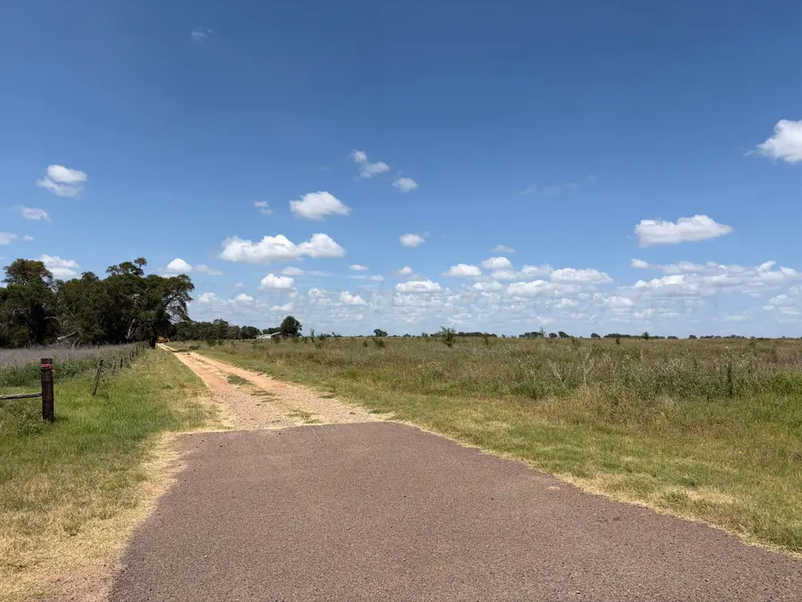 Tx-203, Wellington, TX 79095 - #2