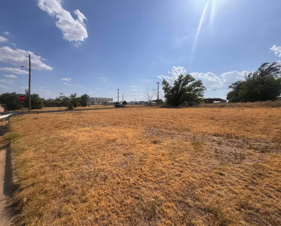 Morse Avenue, Stinnett, TX 79083 - #2