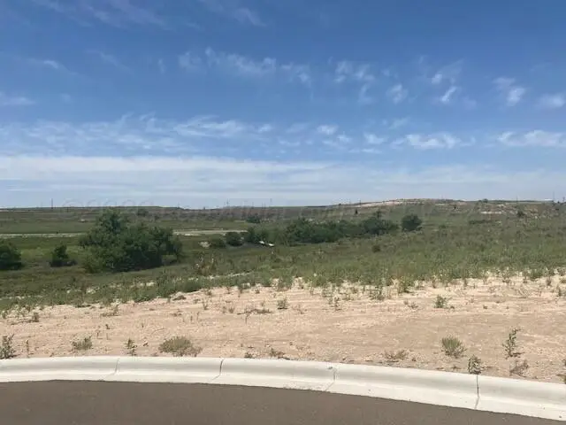 19050 Rocky Creek Drive, Canyon, TX 79015 - #2