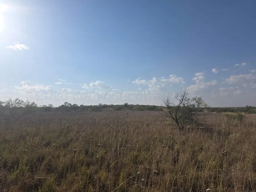 0 Tr 24 Davison Drive, Canadian River Breaks, TX 79124 - #2