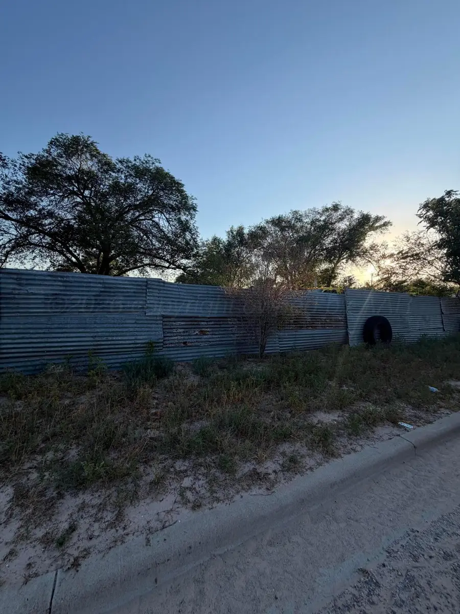 305 W Date Avenue, Muleshoe, TX 79347 - #3