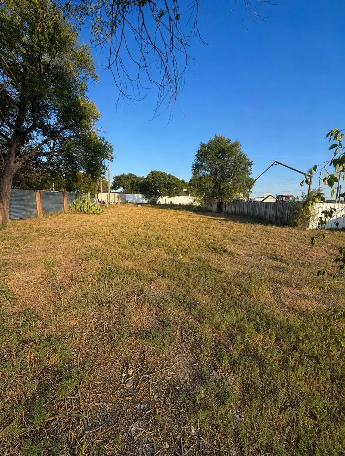 104 W Dallas Street, Muleshoe, TX 79347 - #1