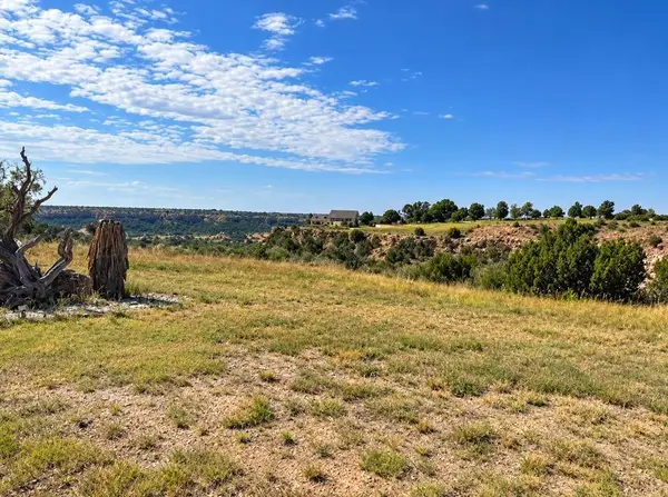 7900 E Lake View Road, Amarillo, TX 79118-4567