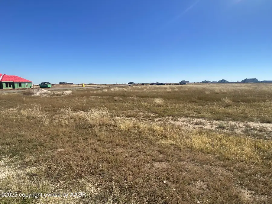 13205 Ariana Road, Amarillo, TX 79124 - #2