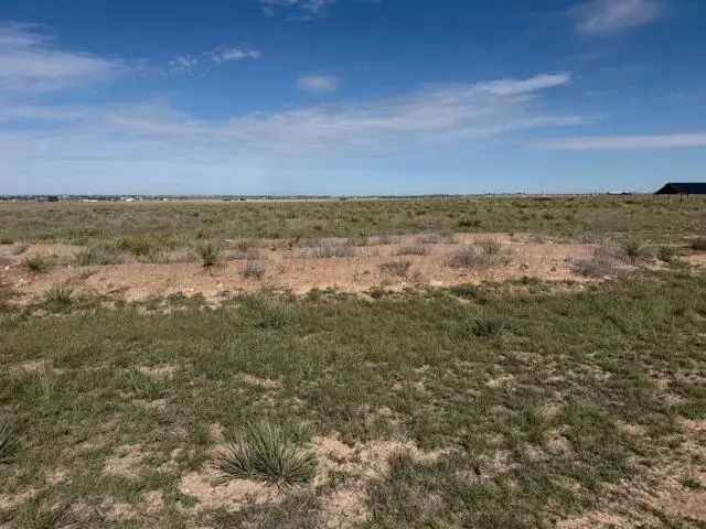 3300 W Cemetery Road, Canyon, TX 79015-6456 - #1