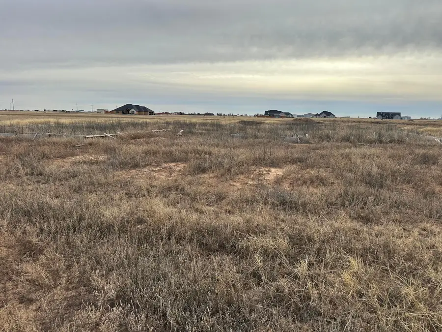 13433 Antenor Road, Amarillo, TX 79124-2212 - #2